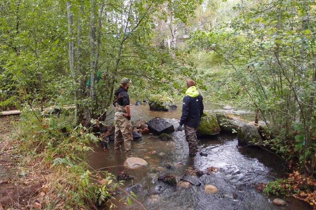 Toteutuksen epävarmuudet Vähän käytännön kokemuksia Tapauskohtaisuus: