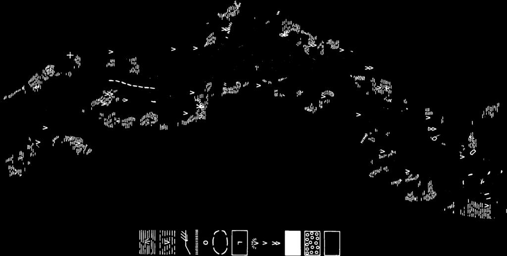 MÄNTYMETSÄ
