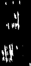 ct CI 51): :3 -JO -3 7: 0 :37: I-J