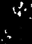 4 O h4 * : e; R-% : 9 - tj L ec - - - :st±z r > 0O