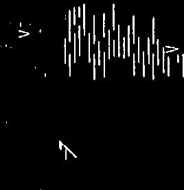 -4 m -I m