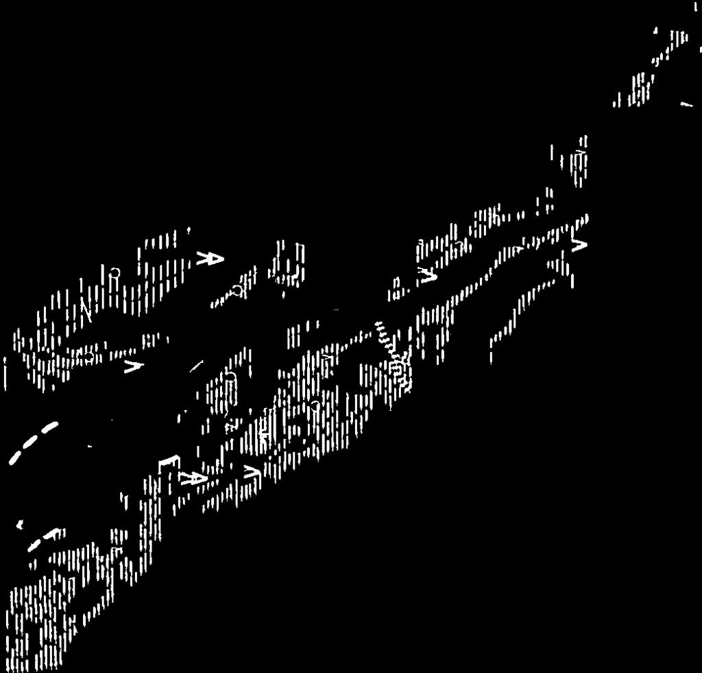 Ii iii o1