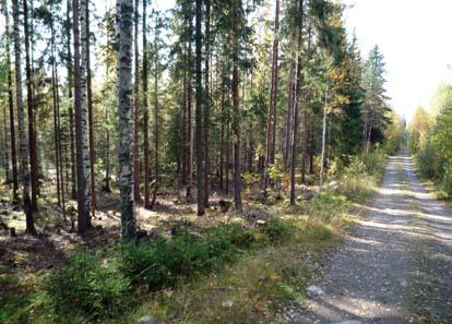 Lamminrahkan tuli olla yhteydessä ympäröiviin asuinalueisiin Vatialaan, Ojalaan ja Atalaan, mutta tärkeät virkistysalueet tuli jättää leveinä alueiden väliin.