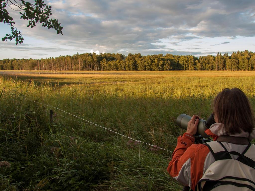 vanhoja kangas- ja kalliometsiä lehtoja ja tammivyöhykkeen jalopuumetsiä valtakunnallisesti arvokkaita kallioalueita majakoita,