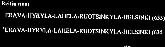 -+- t tq 5R1[ - jupjwioi fi1äiictoja 1 i- $f LJ2-z Heli uni - - - /7 IIYI{YLA -