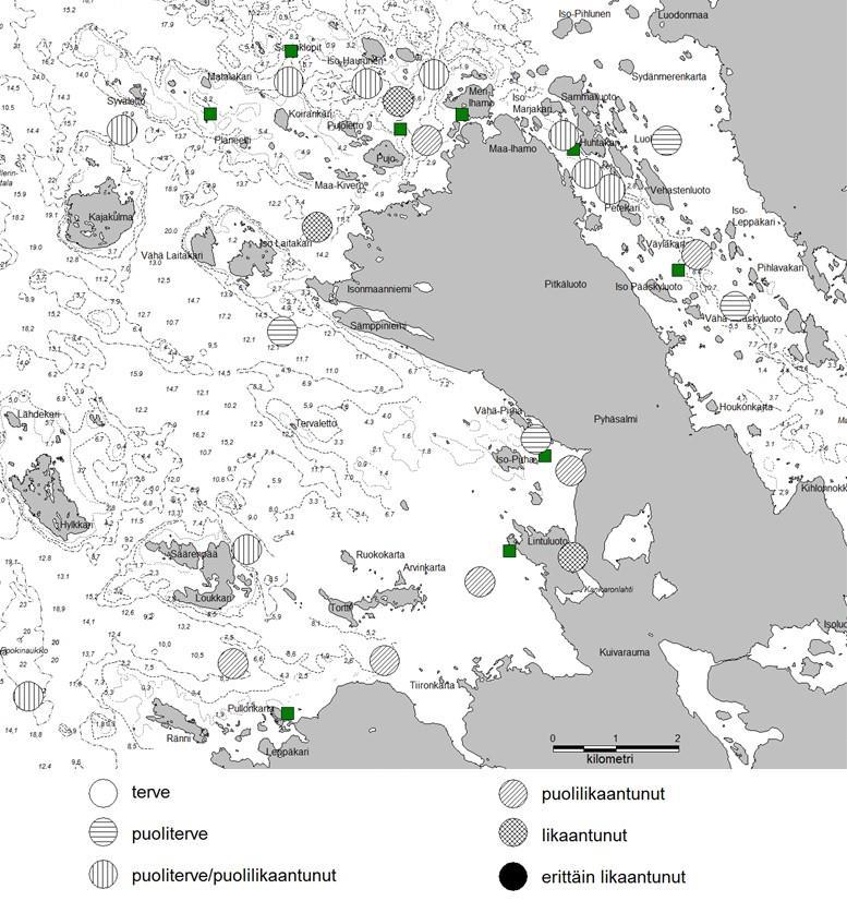 11 (37) Vuoden 2012 pohjaeläinselvityksen mukainen pohjan luokitus on esitetty kuvassa 8. Pääosin pohjat luokiteltiin puoliterveiksi/puolilikaantuneiksi.