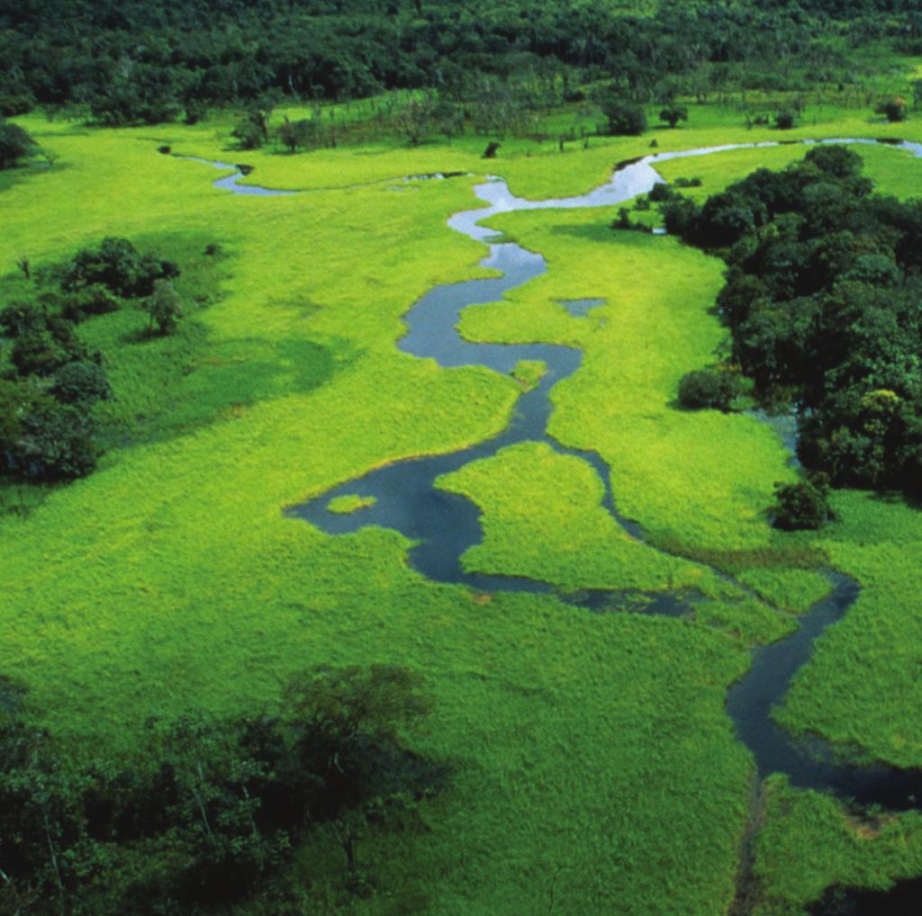 WWF SUOMI 2017-2020 Tavoitteenamme on luonnon monimuotoisuuden turvaaminen ja ekologisen jalanjäljen pienentäminen Täällä toimimme: arktinen alue Suomi Itämeri Himalajan alue Borneo itäinen Afrikka