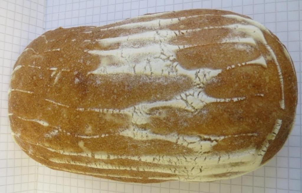 23 8 TULOKSET 8.1 Leivontakokeiden tulokset, nostatuskorilla Ensimmäisissä leivontakokeissa leivät tehtiin nostatuskoreihin, joissa leivät nostatettiin.