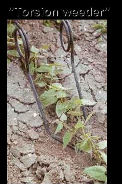 Torsion weeder Efficient uprooting, also of relatively large