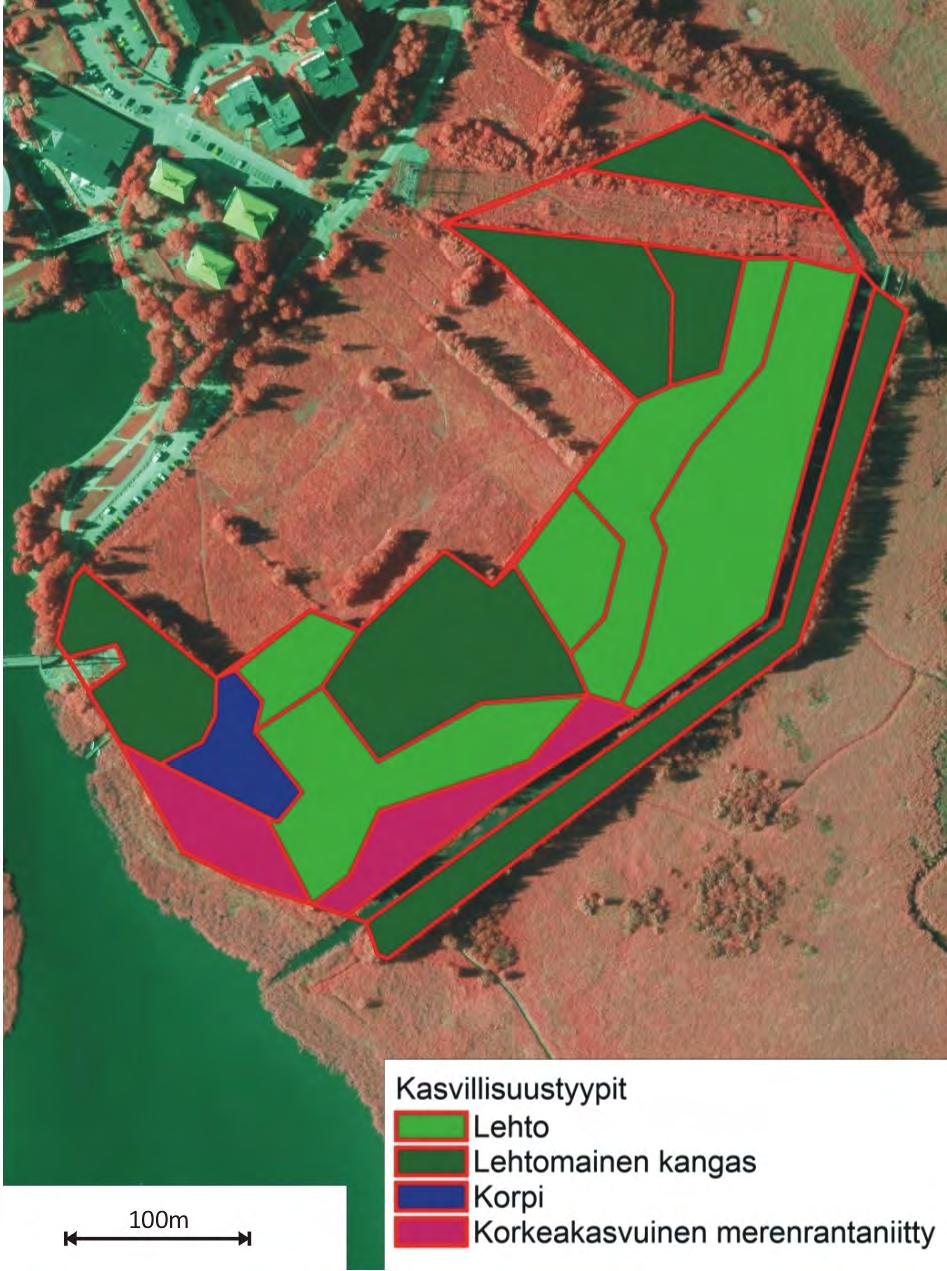 Liite 1: Pornaistenniemen tervaleppälehdon luontoarvot ja käyttö Luontoarvot Pornaistenniemi on Viikinrannassa, Vanhankaupunginkosken ja Viikin- Vanhankaupunginlahden suojelualueen välissä sijaitseva