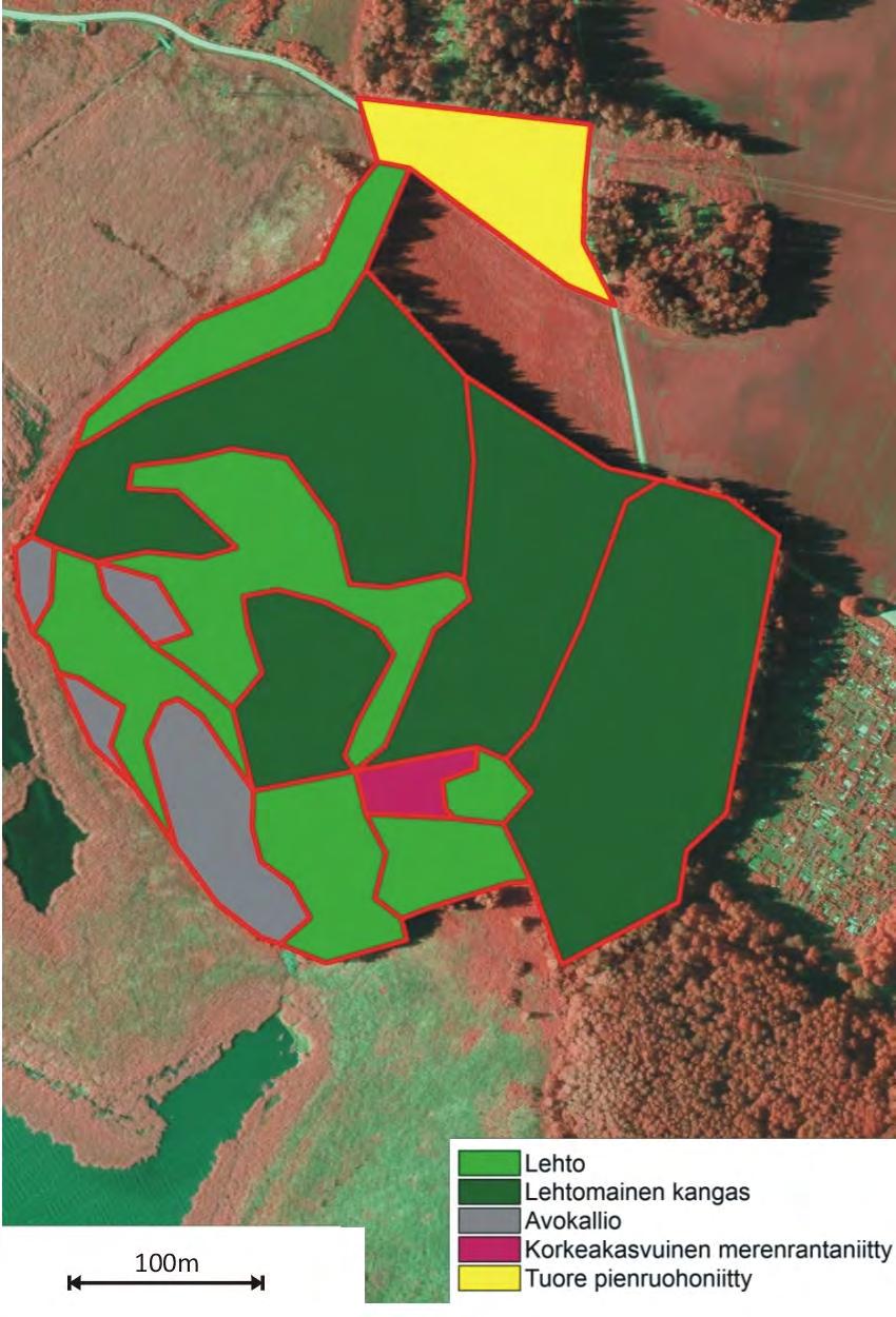 Liite 2 Mölylän metsän ja Bäcksin torpan rinneniityn luontoarvot ja käyttö Luontoarvot Tässä kuvatut luontoarvot perustuvat hoito- ja käyttösuunnitelmatyön yhteydessä tehtyihin havaintoihin sekä