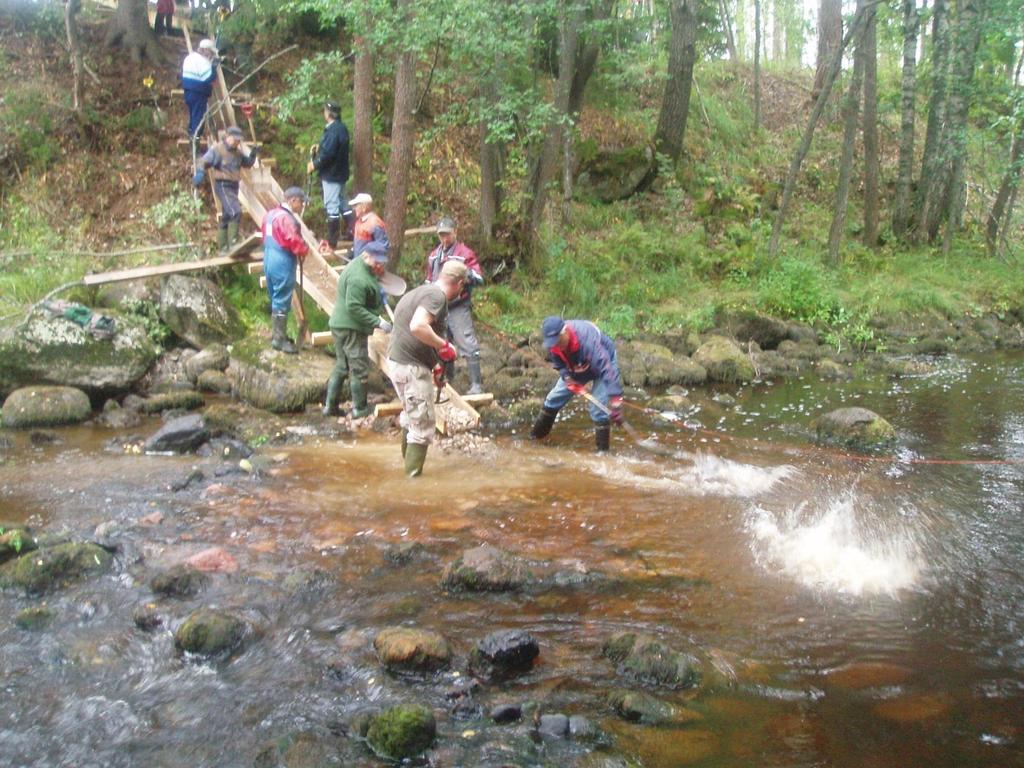 Kunnostuksia (lohikala)yhdistysten,