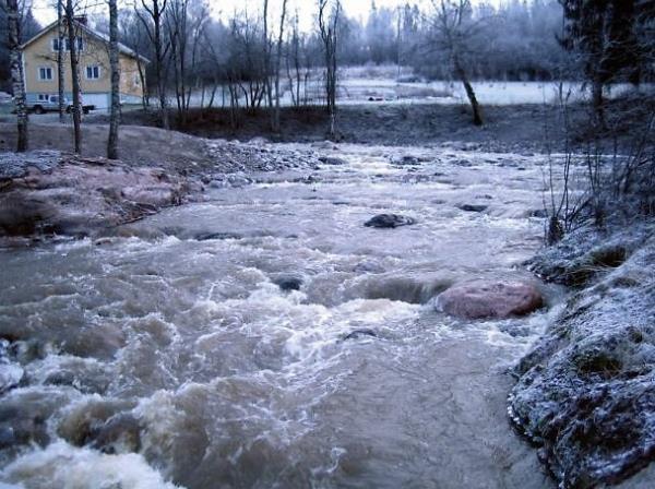 Sågarsforsin
