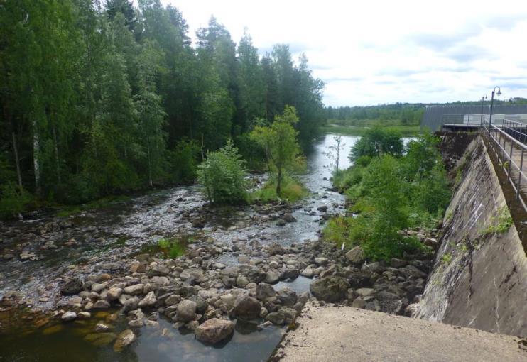 Käynnissä oleva lupaprosessi Hiitolanjoen kalatiet ESAVI ratkaisee, onko toteutettava 3 voimalaitokseen