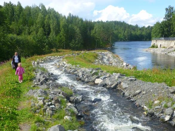 Luonnonmukaiset kalatiet ja ohitusuomat Kissakosken kalatie, Hirvensalmi Kissakoski, Finland Muistuttavat