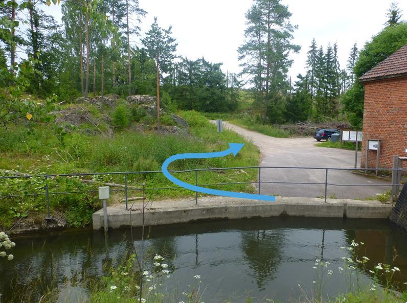 nousevat kalat suunnistavat Yläpää lähelle