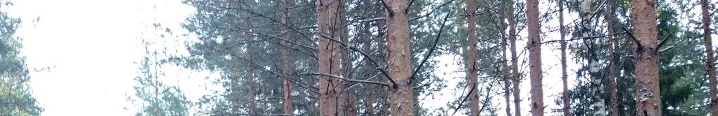 viettävää rinnettä.