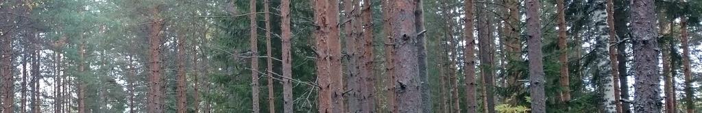 kuusivaltaista sekametsää (Kuva 2).