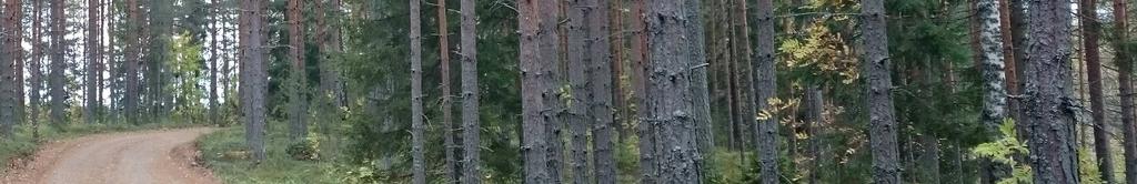 mm. Karhunsalmen tilan alueella sekä alueen eteläosassa