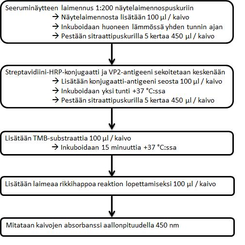 46 Kuva 25. Kehitetyn B19V-IgM-ELISA-testin lopullinen testimenettely 7.2.3 Näytelaimennospuskuri ja pesupuskuri Labsystemsin näytelaimennospuskuria testattiin rinnakkain, tähän asti käytetyn, PBSTpuskurin kanssa 23 seeruminäytteellä.