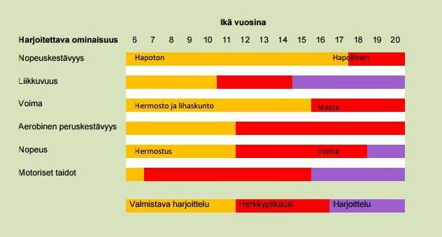 2 Nuoren ja lapsen fyysinen kehitys Herkkyyskausilla tarkoitetaan kausia, jolloin ihmisen eri ominaisuudet kehittyvät nopeasti.