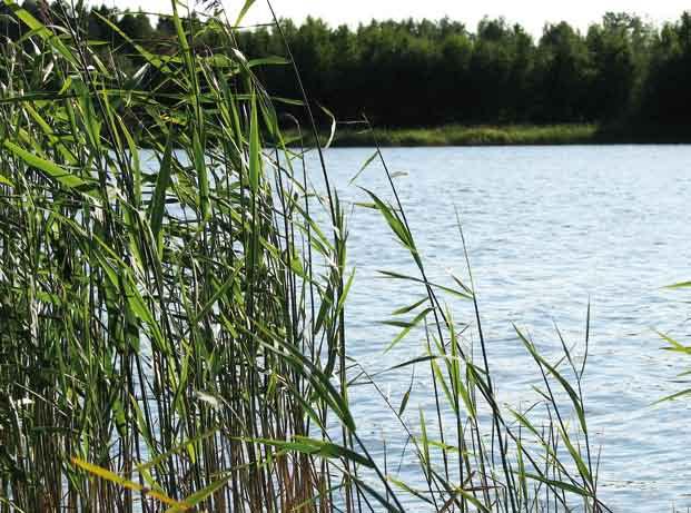 pienvedet ovat selvästi taantuneet. Noin 40 % vedenhankinnalle tärkeistä pohjavesialueista sijaitsee alueella, missä on pohjaveden tilalle riskiä aiheuttavaa toimintaa.