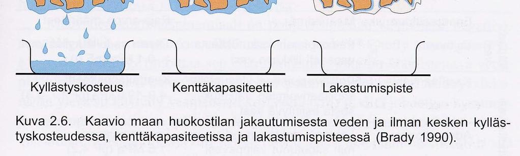 käytettävissä oleva kapillaarivesi ei