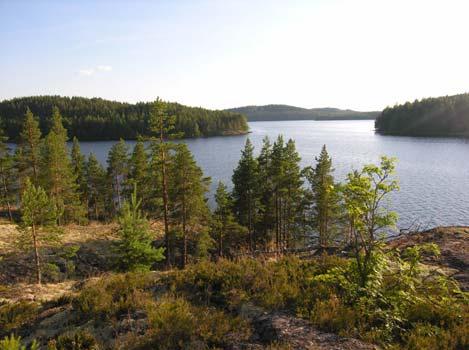 Vuoksen alueella monia pieniä ja paikoin suurempiakin järviä on laskettu erityisesti viljelysmaan tarpeisiin.