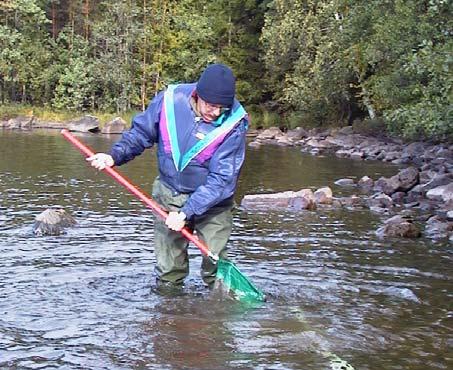 Jokien, järvien ja rannikkovesien tilan arviointi alkaa tyypittelyllä. Vedet ryhmitellään niiden luontaisten ominaisuuksien perusteella.