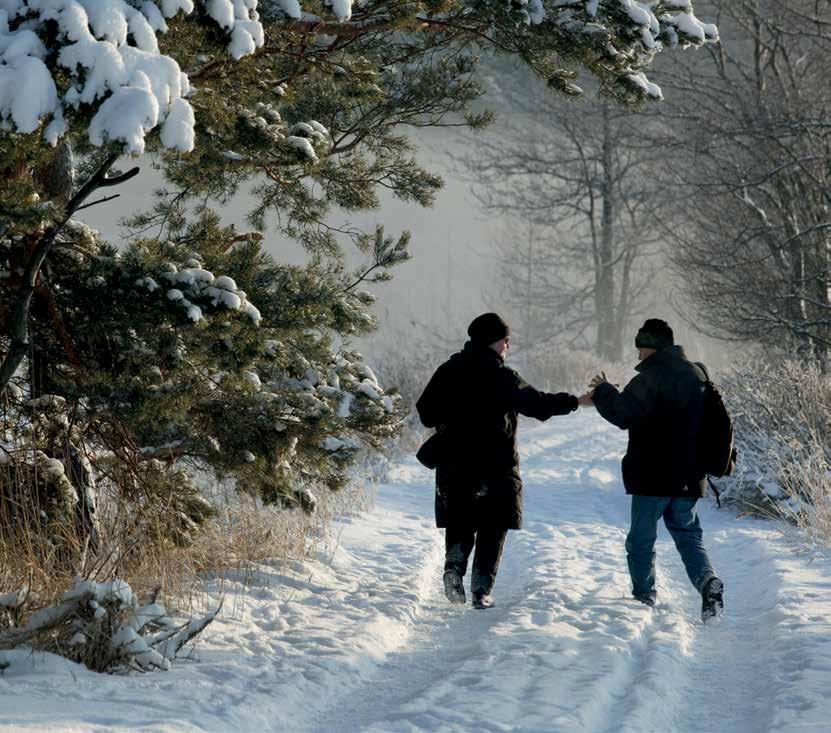 sedentaareiksi toisen, fyysisesti aktiivisen ryhmän perusteella, vaikka todellista sedentaariaikaa ei ole kysytty saati mitattu (Pate ym. 2008).