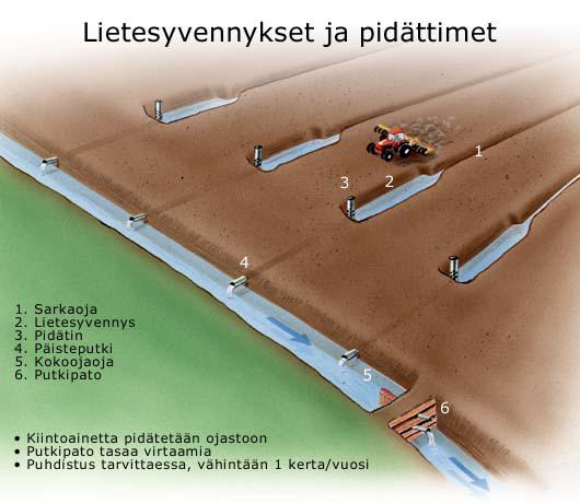 Kuva 7. Periaatekuva lietesyvennyksistä ja pidättimistä (Vapo 2004).
