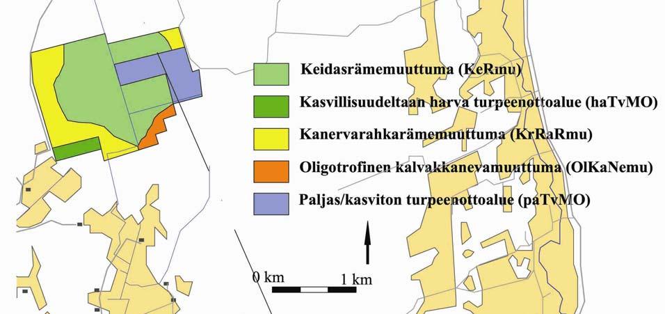 nevarämemuuttumana puuston ja mätäspinnan lisääntymisen vuoksi. Kuviolla esiintyy nevapintoja enää hyvin niukasti ja kalvakkarahkasammalta löytyi vain muutamasta painanteesta.