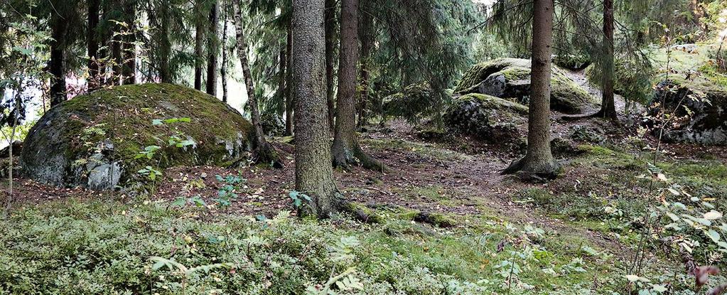 Maasto ja kartat Kumpikin normaalikilpailu kulkee