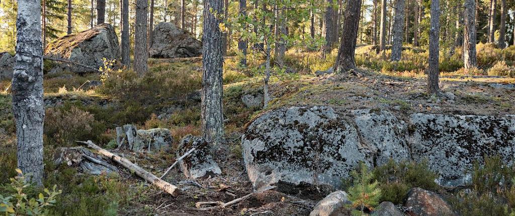 Korkeuserot enintään noin 20 m.