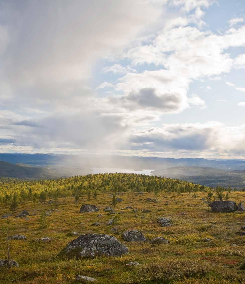 KUVAT Yleistä kuvien tyylistä ja tunnelmasta Tämä ohjeistus on työkalusi, kun toteutat kuvia edustamasi yrityksen tai yhteisön markkinointitarkoituksiin Jos se olisi lappilaisista kiinni, Mars olisi