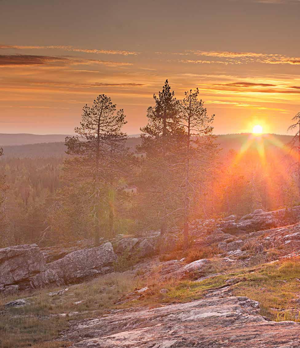 KUVAT Kuvien tyylistä Kuvien tyyli on vapaa eli voit valita haluamasi kuvaustavan ja -lähteen. Pyri kuitenkin huomioimaan Above Ordinary -näkökulma.