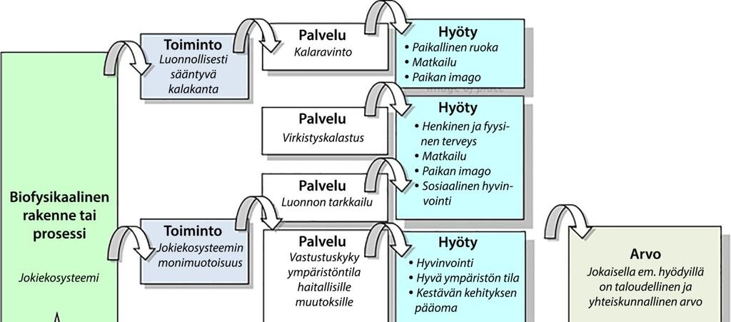 tuottavat ihmiselle hyötyjä ja joilla on tietty taloudellinen (tai muu) arvo (Haines-Yong ja Potschin 2012).