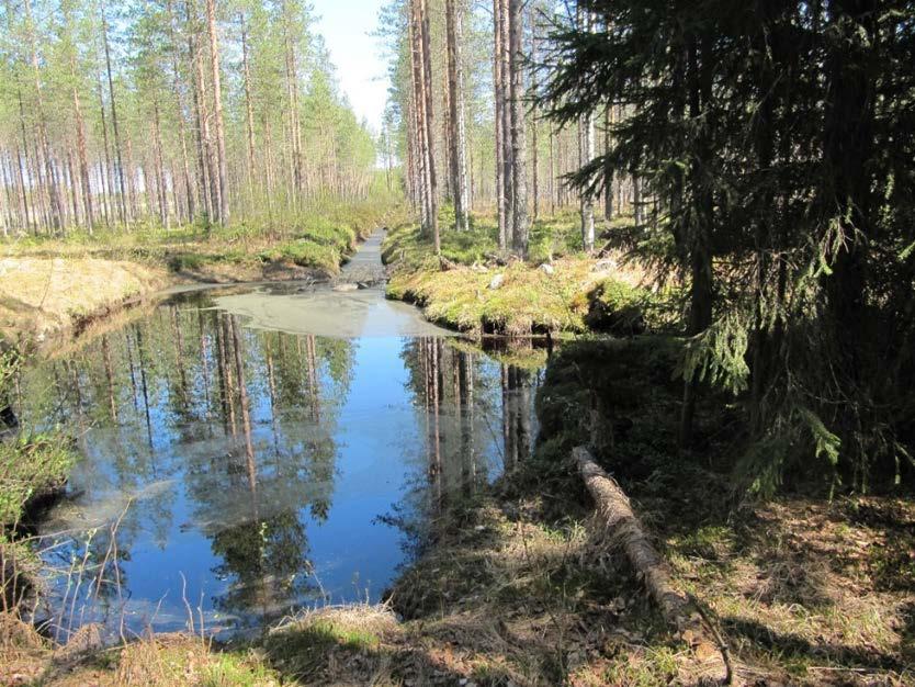 Laskeutusaltaan sijoittaminen lähelle kulkuyhteyksiä