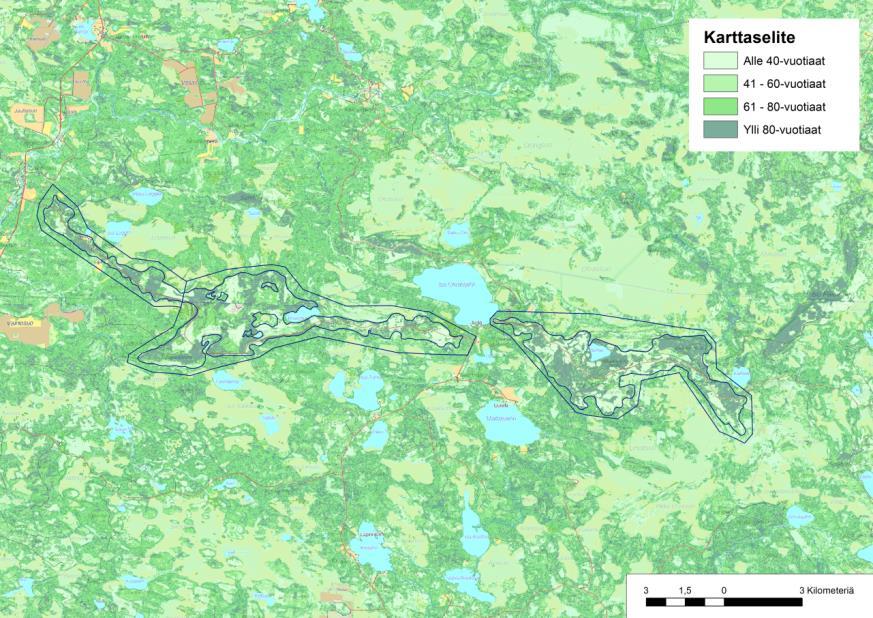 12 (50) Selvitysraportti 2017 FCG Suunnittelu ja tekniikka Oy 4.4 Metsätalous lettoiselle suolle (Heikkilä ym. 2001).