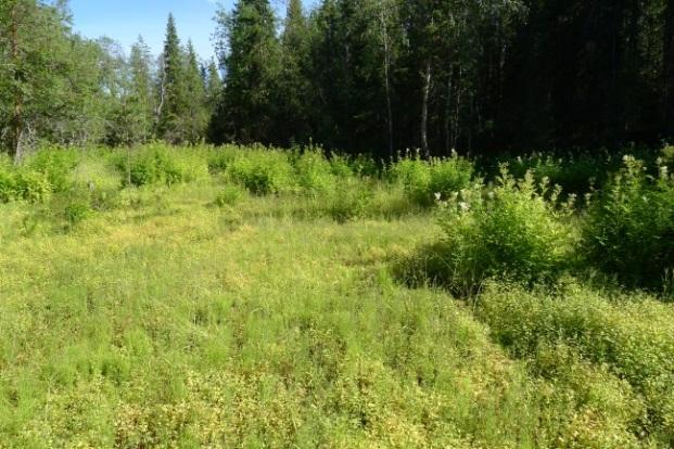 Keihäskankaan notkelmaan sijoittuva Keihäsojan lähde (ID 658) koostuu tien viereen sijoittuvasta lähdekaivosta ja siitä alkuunsa saavasta purosta sekä noin 45 x 41 m luonnontilaisesta