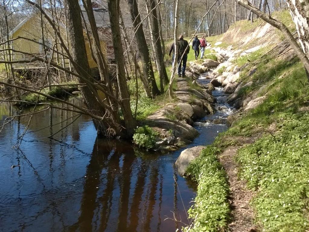 Luonnonmukainen