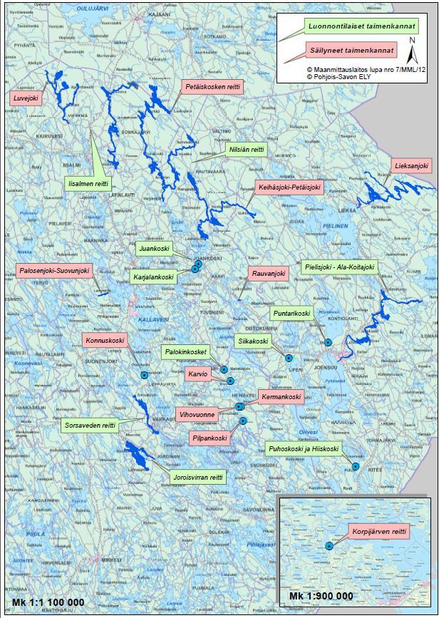 Vuoksen vesistön taimenen alkuperäisiä