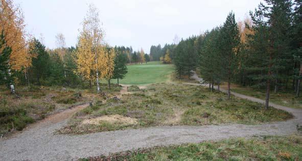 7, par 3, 153 (168), 142 (153), 134 (142) ja 119 metriä + Nätti ja selkeä par kolmonen kanjonin yli - Punainen lyöntipaikka-alue par 3 reiän kulutukseen nähden liian pieni - Lyöntiaukko kasvamassa