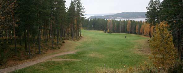 10, par 4, 366 (375), 330 (360), 319 (355) ja 295 (300) metriä - Täydellinen sokkoavaus punaista lyöntipaikka-aluetta lukuun ottamatta - Viheriön sijainti ympäristöönsä nähden täysin onneton - jo