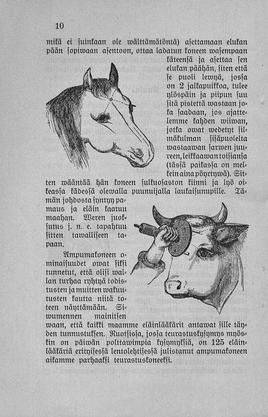 mikä ei suinkaan ole malttamatonta) asettamaan elukan pään sopimaan asentoon, ottaa ladatun koneen wasempaan käteensä ja asettaa sen elukan päähän, siten että se puoli lemyä, jossa on 2 jalkapuikkoa,