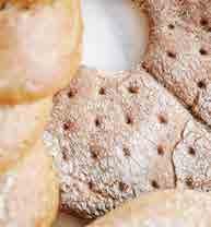 Tervetuloa nauttimaan Kuiron Leipomon perinteisistä ja uusistakin herkuista kahviloihimme! Kahvilamme löydät osoitteista Helsingintie 5 Vilhonkatu 14 Sähkökuja 2 www.kuironleipomo.