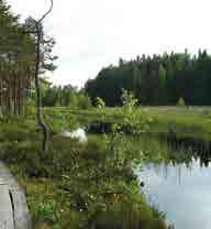 Pituutta reitillä on noin 100 km ja se kulkee melko tasaisessa maastossa lukuun ottamatta Kirjakkala-Matilda-välistä osuutta. Reitti kulkee sekä asfaltti- että hiekkateillä.
