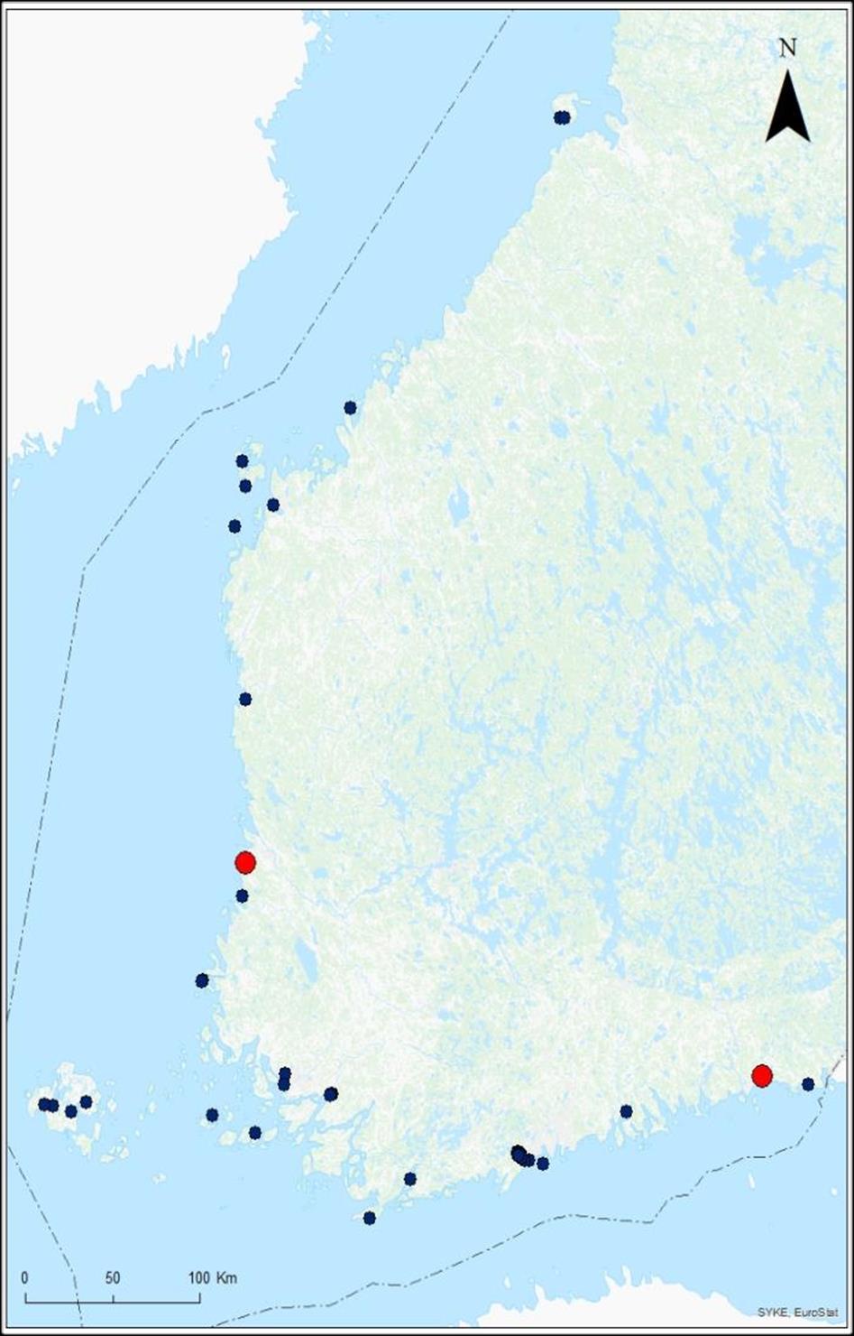 Löydetty uusia meriuposkuoriaisen