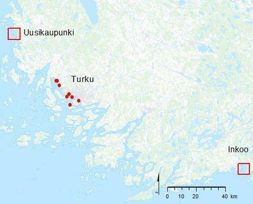 Myös tieteelle tuntematon viuhkamato