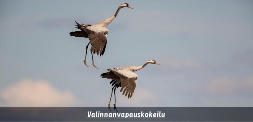 Hämeenlinnan